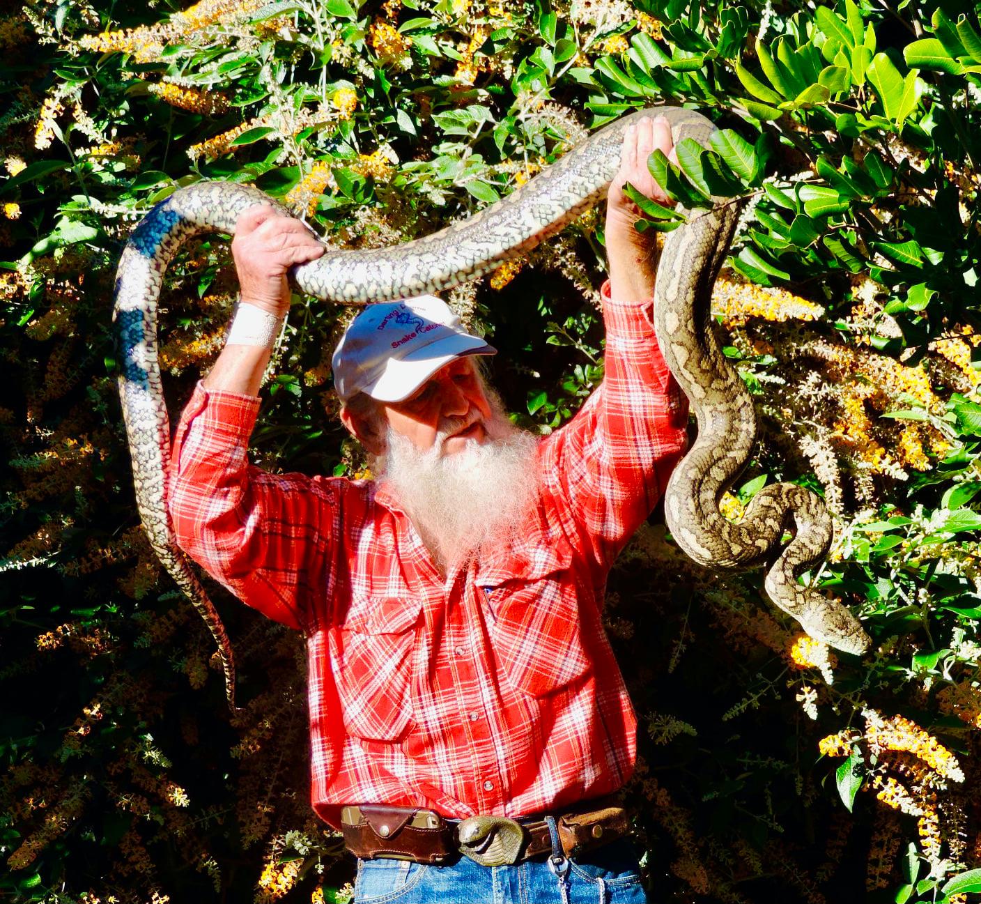 Business Listing Image for Darling Downs Snake Catchers 24/7